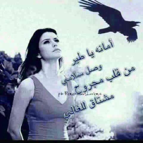 Nariman Omar (@n_bryar) on Twitter photo 
