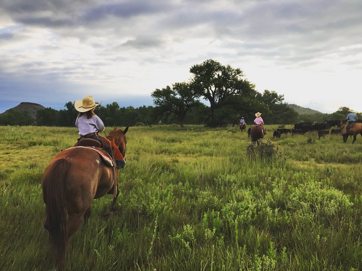 TallTaleChicago's tweet photo. Happy #NationalFarmersDay to the hardworking families who opened up their lives &amp; allowed us to tell unique stories of greatness this year. https://t.co/eQNmqU4Fgx