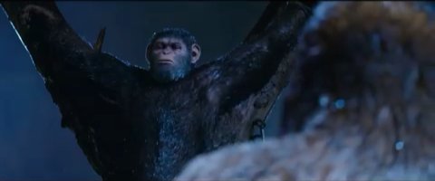 Why Caesar?😢 #warfortheplanet #andyserkis #apestogetherstrong #movies <a href="/andyserkis/">Andy Serkis</a> <a href="/mattreevesLA/">Matt Reeves</a>