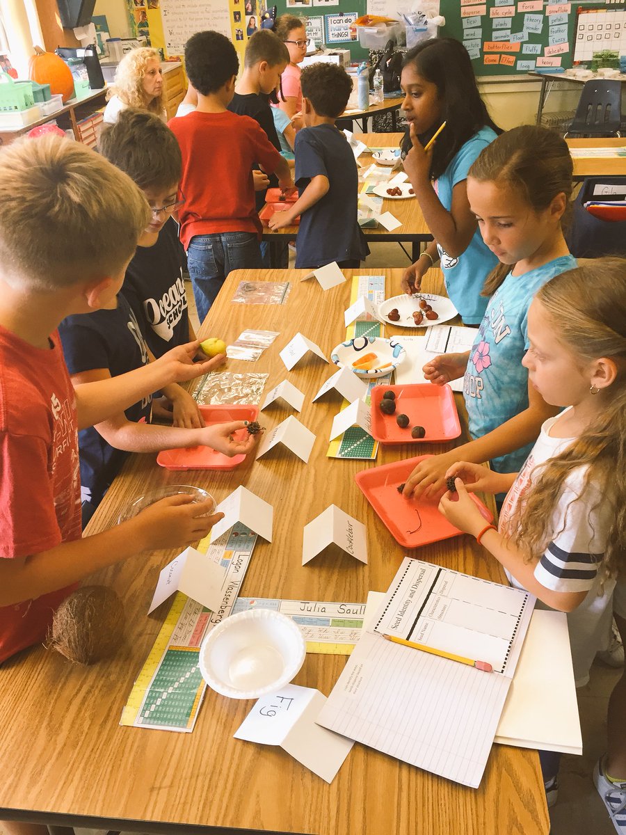 OSchool4's tweet photo. How are these seeds dispersed? Developing questions and making sense of nature. #sch4STEM @jotis_otis @ChapmanKchapman @dmigdol123 https://t.co/itDA1Jy5aM