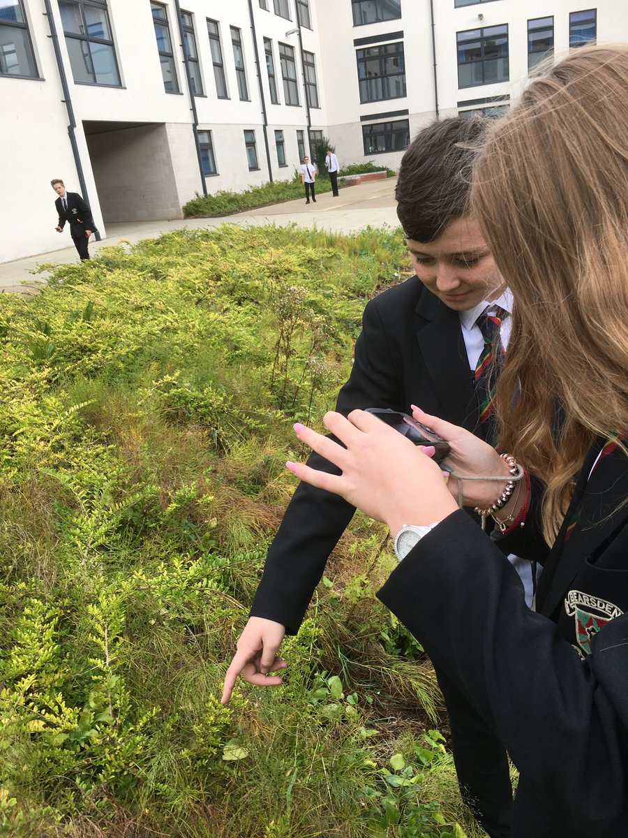 BearsdenArtDept's tweet image. S3 pupils recording texture and pops of colour in the landscape #Visualawareness #DigitalLearning #outdoorlearning @BearsdenAcademy