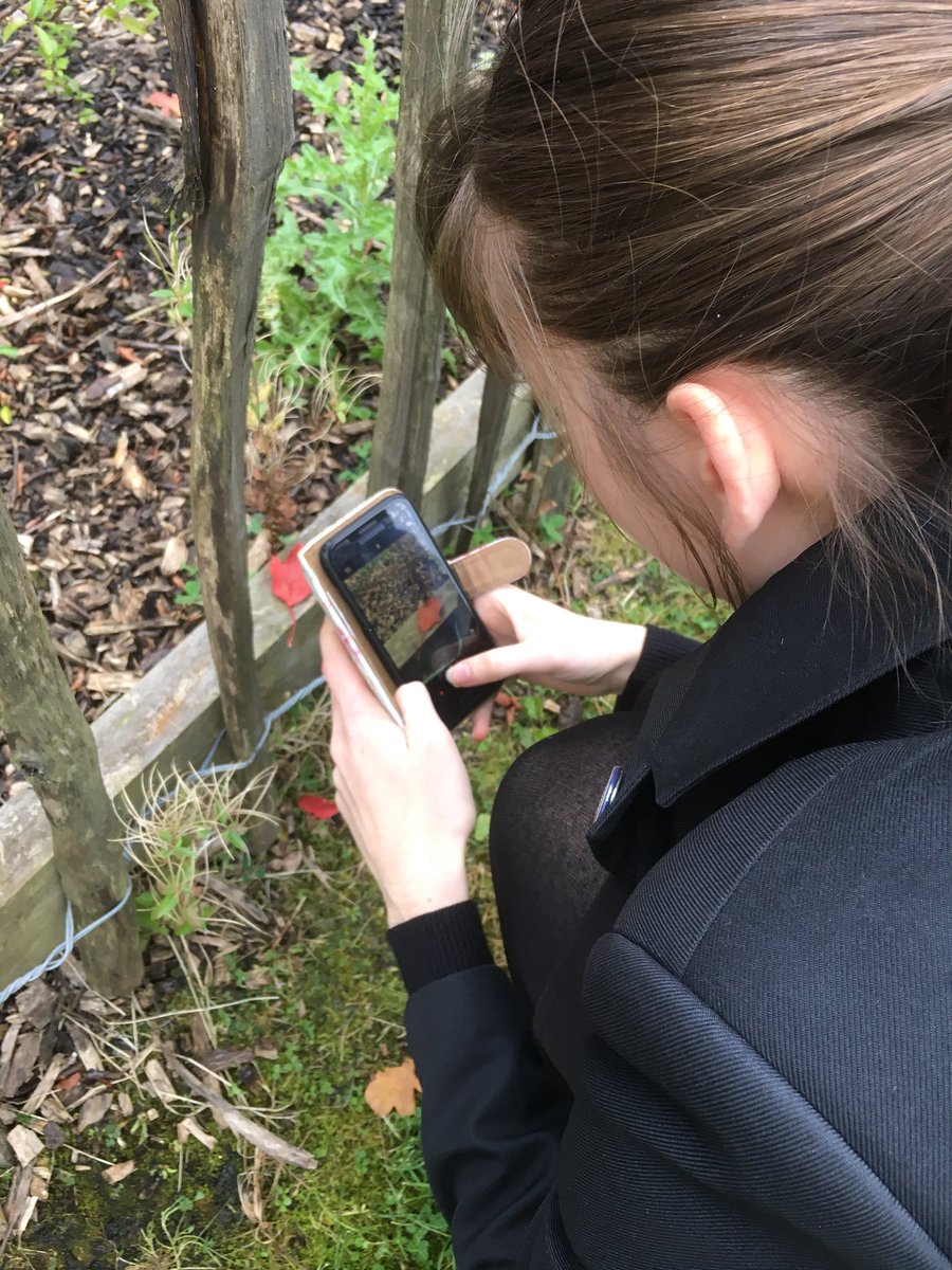 BearsdenArtDept's tweet image. S3 pupils recording texture and pops of colour in the landscape #Visualawareness #DigitalLearning #outdoorlearning @BearsdenAcademy