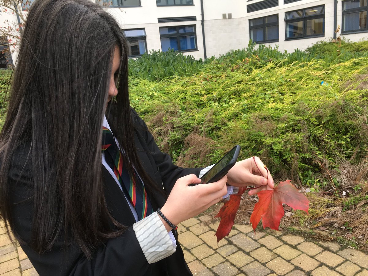 BearsdenArtDept's tweet image. S3 pupils recording texture and pops of colour in the landscape #Visualawareness #DigitalLearning #outdoorlearning @BearsdenAcademy
