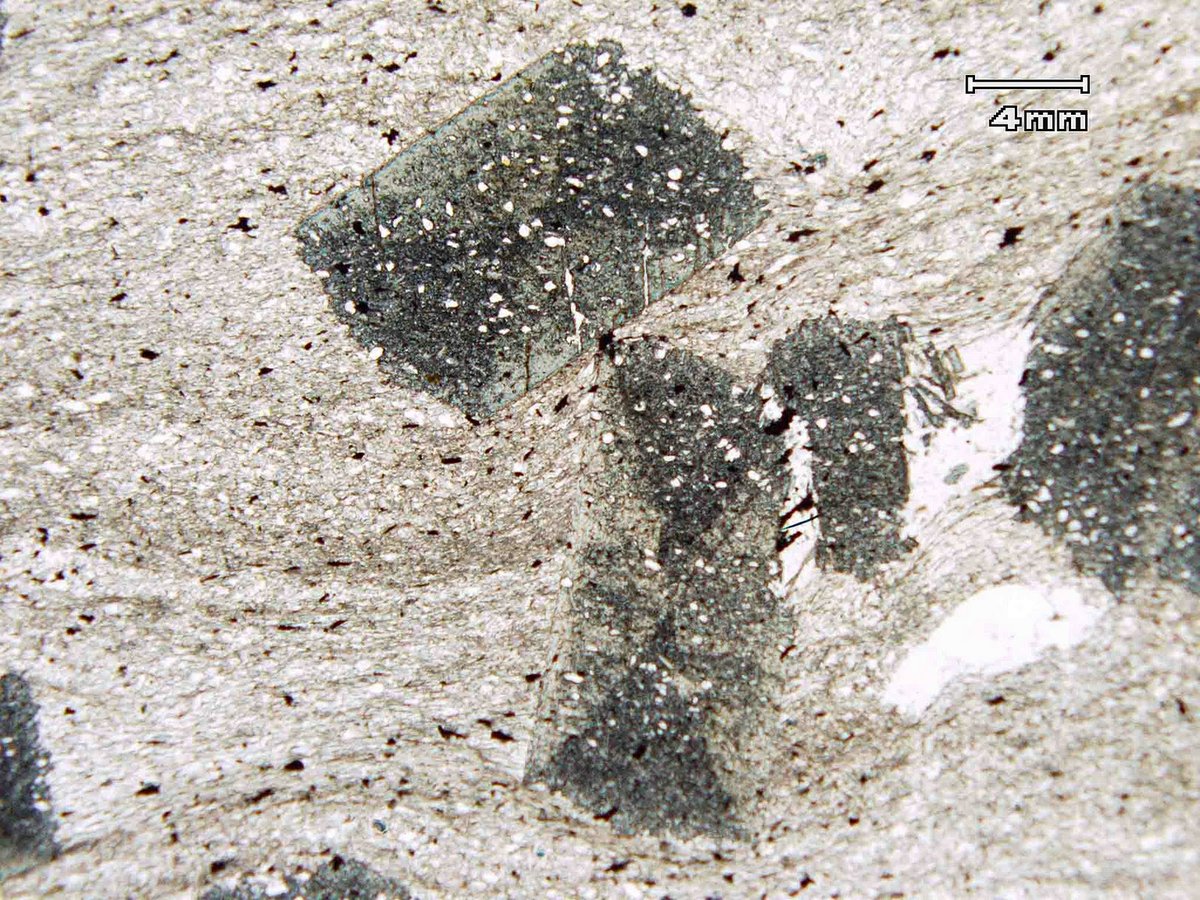 PetroMet's tweet photo. @Geol_Greenhead This phyllite is cool because it's ottrelitic #ForgottenNames #TeamPhyllite https://t.co/VkBo4YIOJq