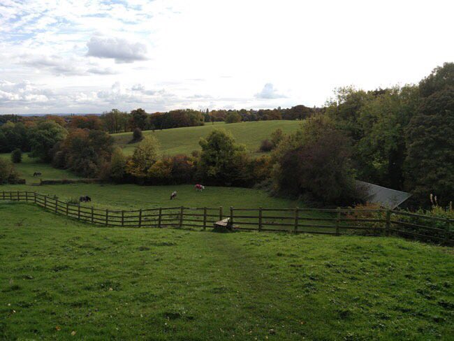 NorthowramPumas's tweet photo. Spaces are selling fast for #ColeyCanter2017 - we have less than half the spaces left so don't delay! https://t.co/ldFGI0R8Ti *Please RT https://t.co/5EyQyNNjtV