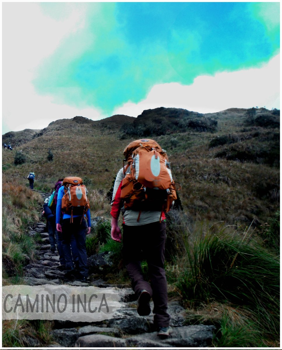 letsgoincatrail's tweet photo. Classic Inca trail to Machu picchu 2018 #incatrail #letsgoincatrail #trek #trekking #hike #machupicchu #machupicchutravel https://t.co/xDaB38GMen
