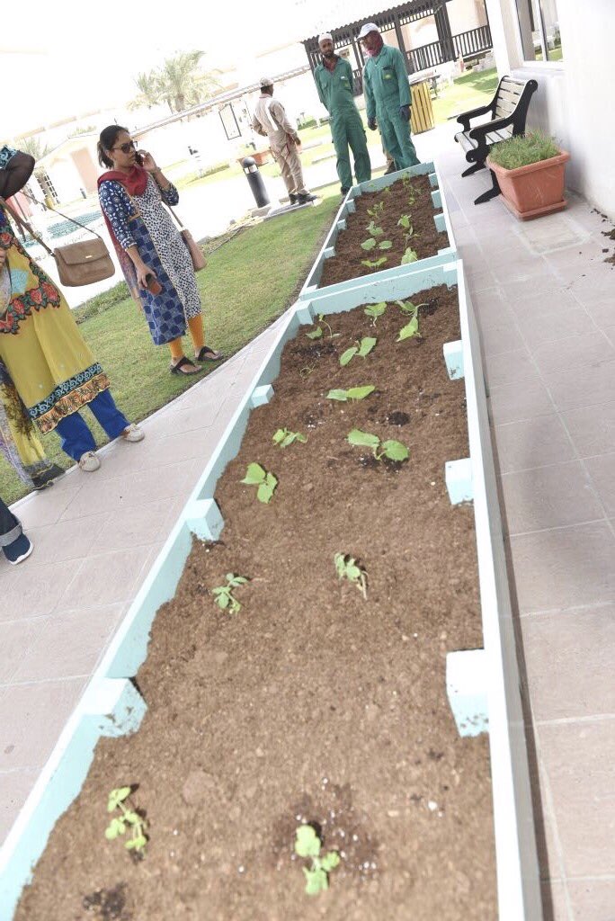 Qafcopr's tweet photo. #QAFCO organized a planting activity for its employees and their children as part of #Arab_Environment_Day , in #AlBanush_Club https://t.co/YViJVEdQDR