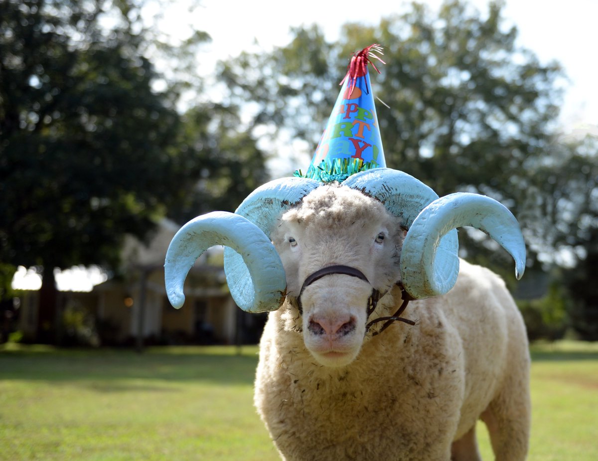 UNC's tweet photo. Rameses. Party hat. Those Carolina blue horns. 😍 What a sight on our 224th birthday! #UNC https://t.co/mHAyr7xiVM