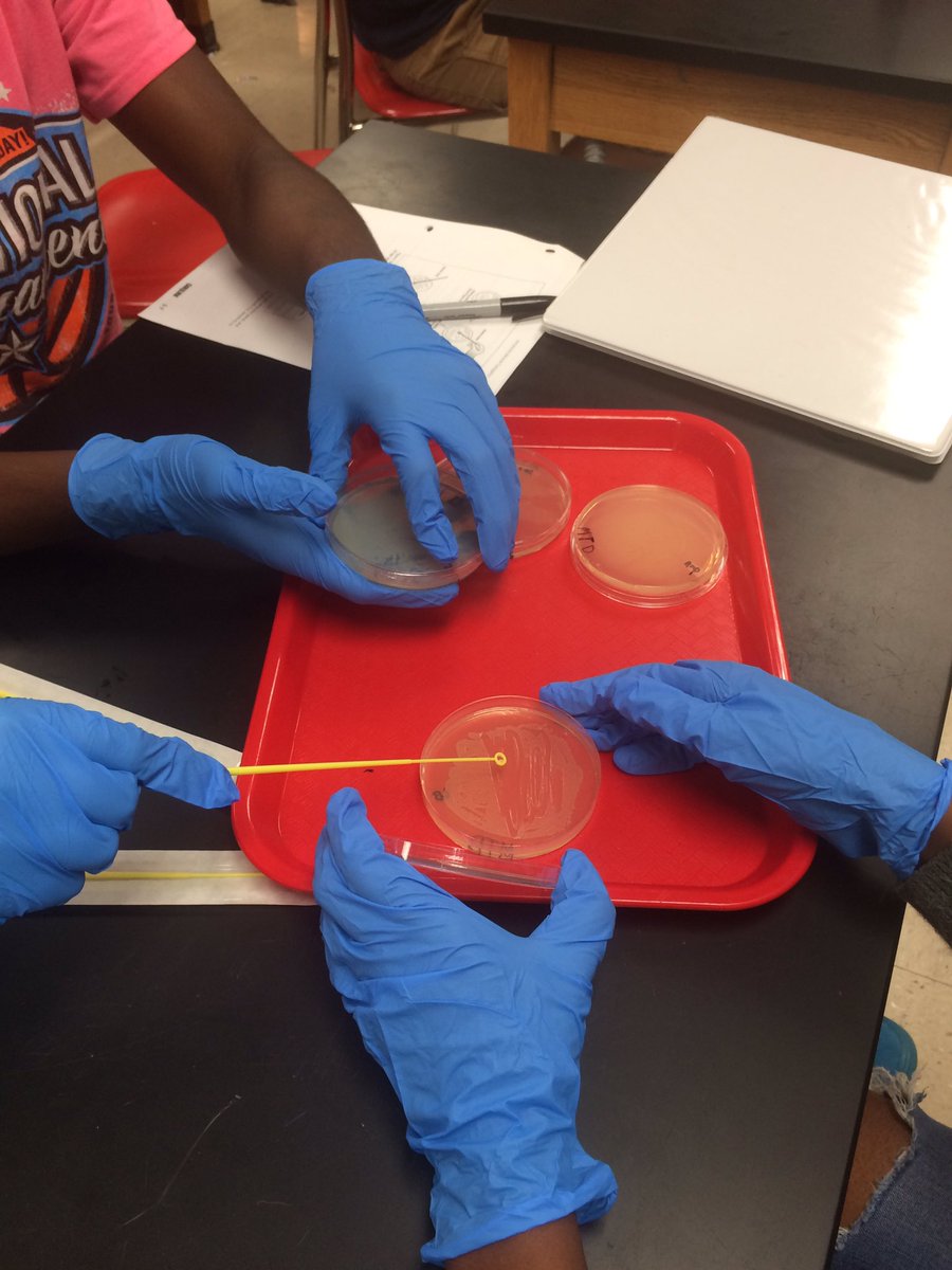 Holmes High School tweet media