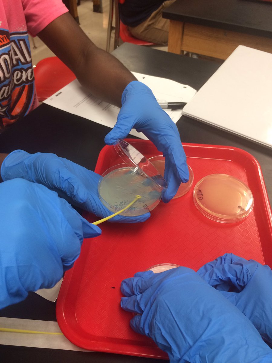 Holmes High School tweet media