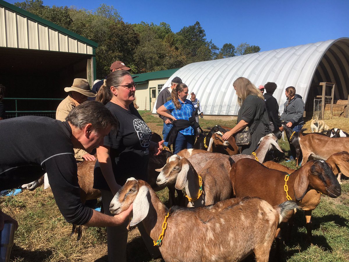 Look at all the #kids we recruited at the Fordland, Missouri #boilerbridge! <a href="/PurdueExtension/">Purdue Extension</a> educators hard at work. #BoilerUp !