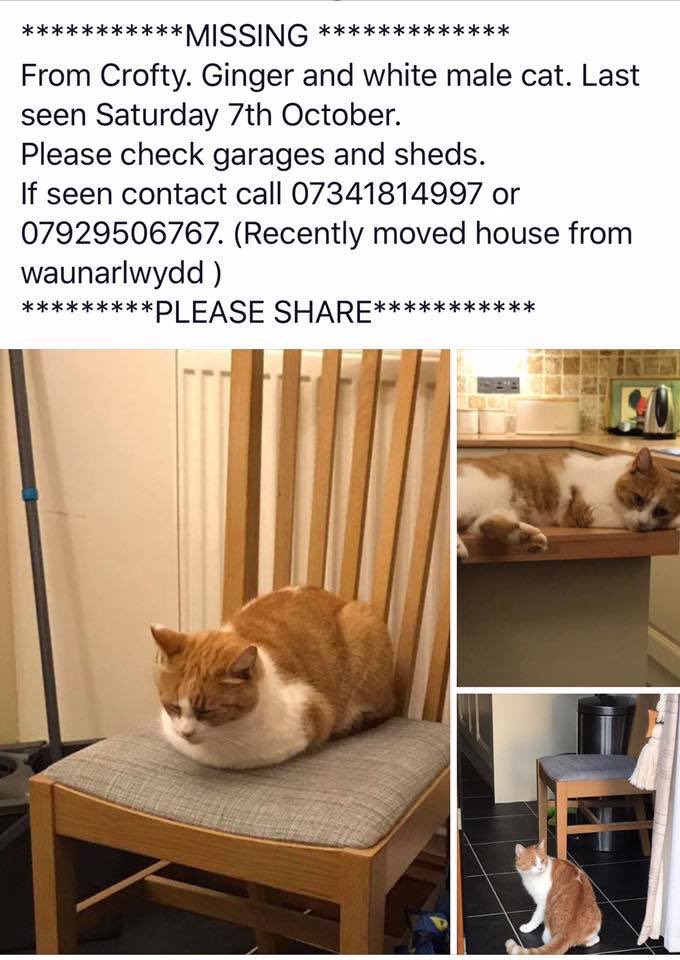 Missing Crofty <a href="/TheGowerSociety/">The Gower Society</a> <a href="/SwanseaOnline10/">Swansea Online</a> @swanseasound <a href="/swanseasociety/">SwanseaSociety</a> <a href="/Swanseacats/">Swansea Cats</a> <a href="/NorthGowerBooks/">NorthGowerLibraryGrp</a> <a href="/964thewave/">964thewave</a> <a href="/helenem06/">CymruGirl Ⓥ🏴󠁧󠁢󠁷󠁬󠁳󠁿🇵🇸</a> pls RT