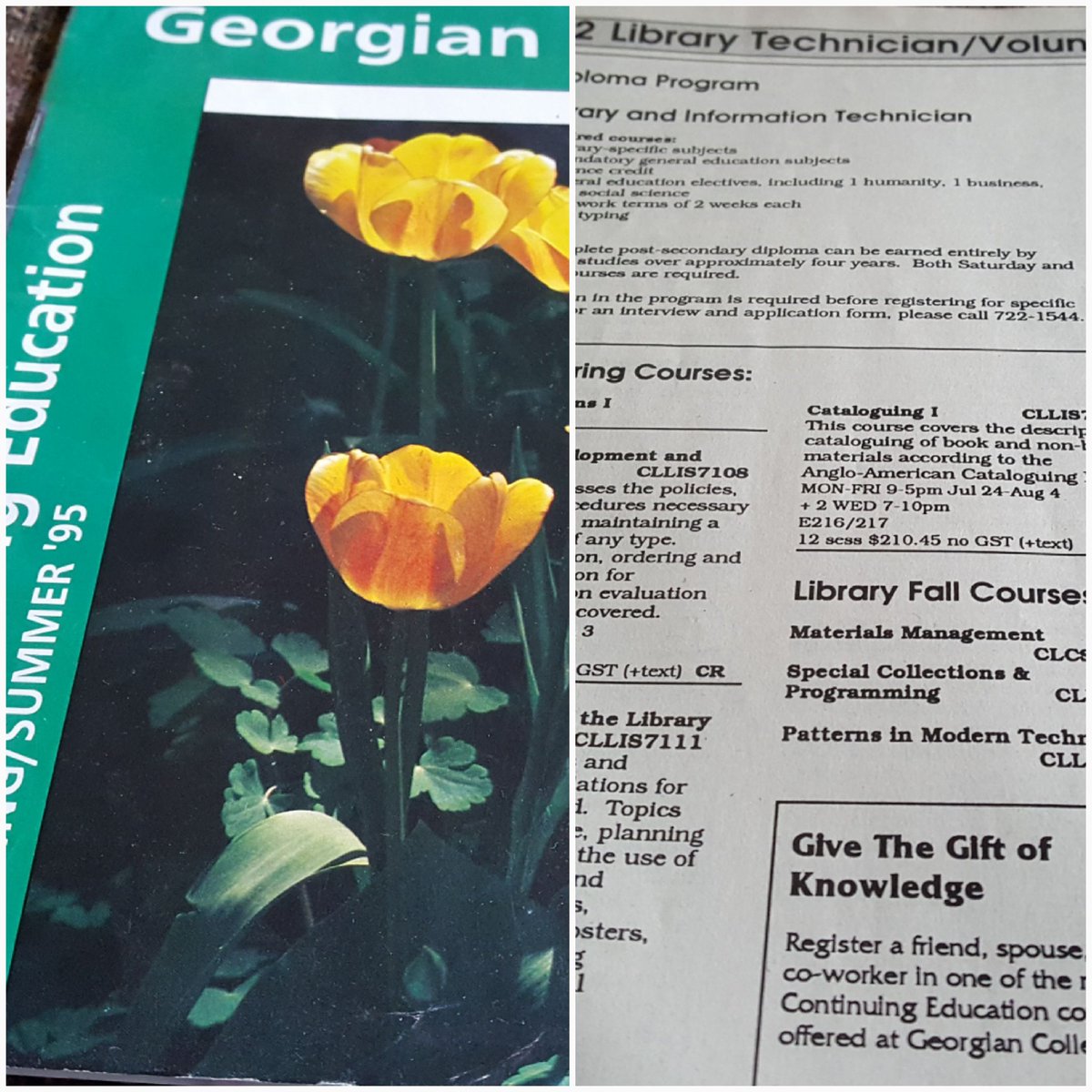 GCLibraryLady's tweet image. I was a part-time studies student @georgiancollege for 4 years.  Work here 12 yrs. 😊 #TBThursday @georgianalumni  #LibraryTechnician