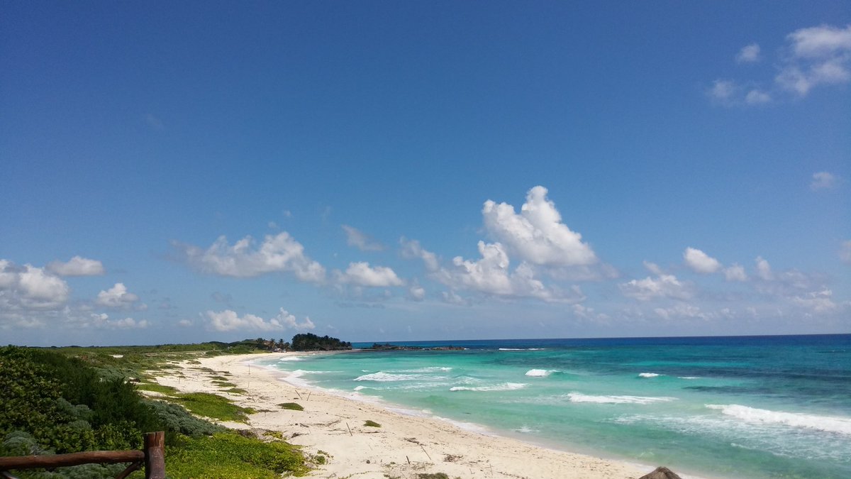 MariaBorre's tweet photo. Así las cosas en la Bella Isla de Cozumel #GodinStyle #FelizJueves 😎✌ https://t.co/YzEMLC0WQm