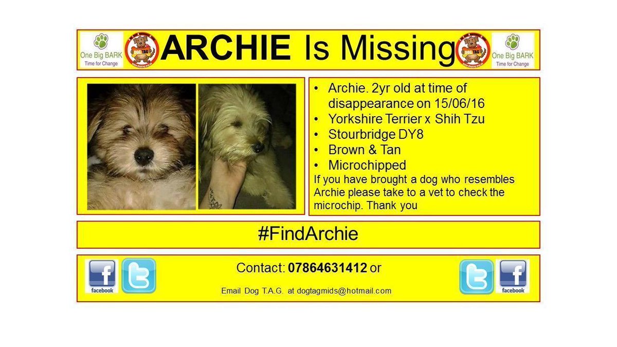 DogTAGMids's tweet photo. #FindArchie #lostdogalert #woofwoof MISSING DOG 🙏🏽💔 Help find Archie TYVM https://t.co/oQRITYFPDq
