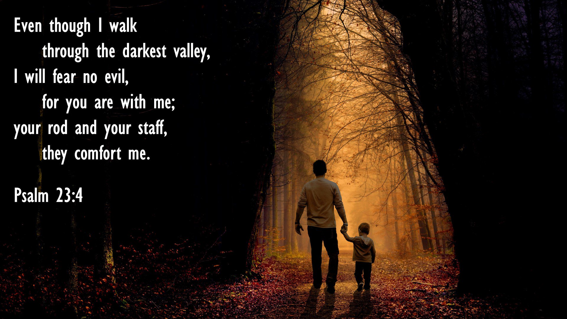 Psalm 23 Bible Verse Images  Psalm 2316 Bible Verse Pictures