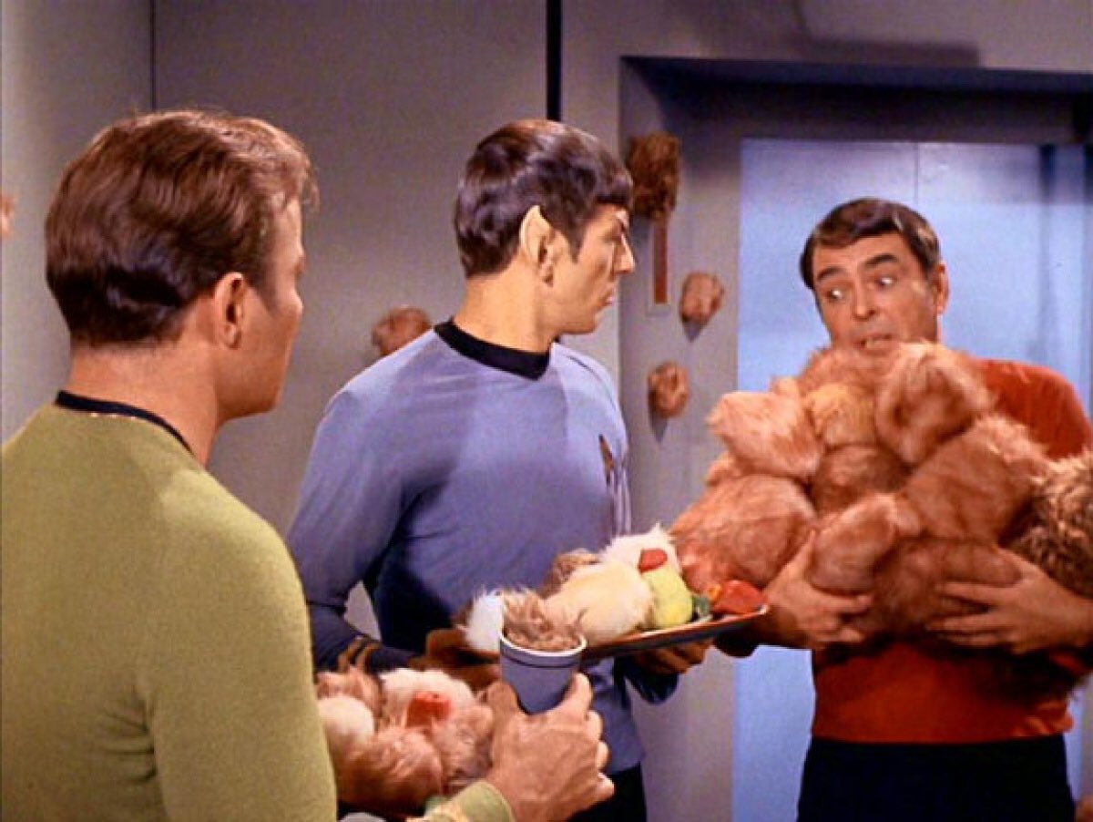 GrokSpockTO's tweet photo. Too many #tribbles? Then bring your troubles to @dominion_to and benfit @OntarioLung $20 for live Trek readings and tribble sounds. https://t.co/fGwMFkROCw