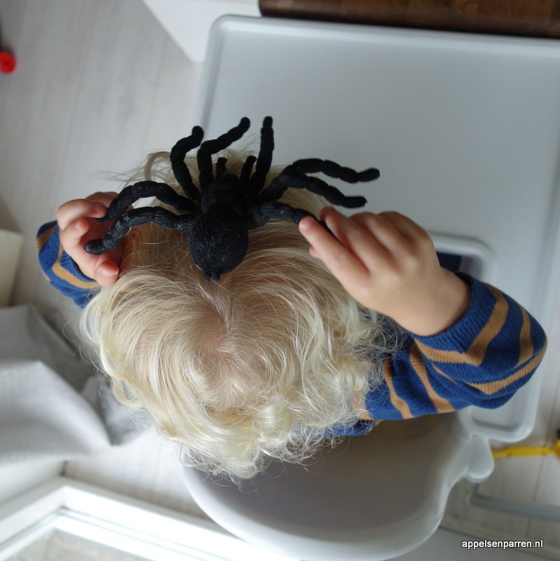 appelsenparren's tweet photo. Hielendal net spannend, dizze grauwe spin mei sels op'e holle! #frysk #berneboekewike #grizelje #kinderboekenweek2017 https://t.co/KmznaqBo6D