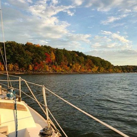 Silver Birches tweet media