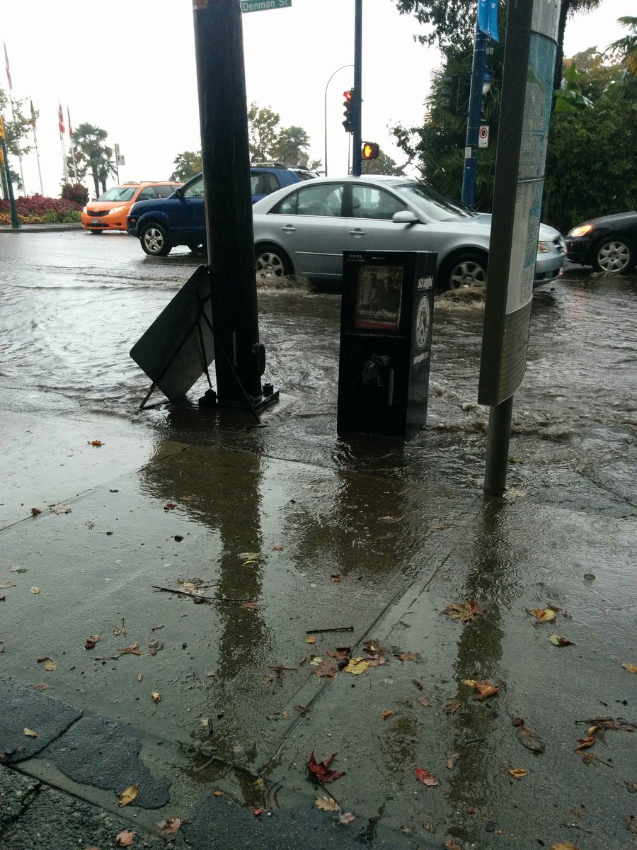 kaaydubzz's tweet photo. Looks like smol doggos will need to swim to get to #stanleypark today. 🐕🐩🐟
#westend #denman #raincouver #vancity https://t.co/XcHXYijovr