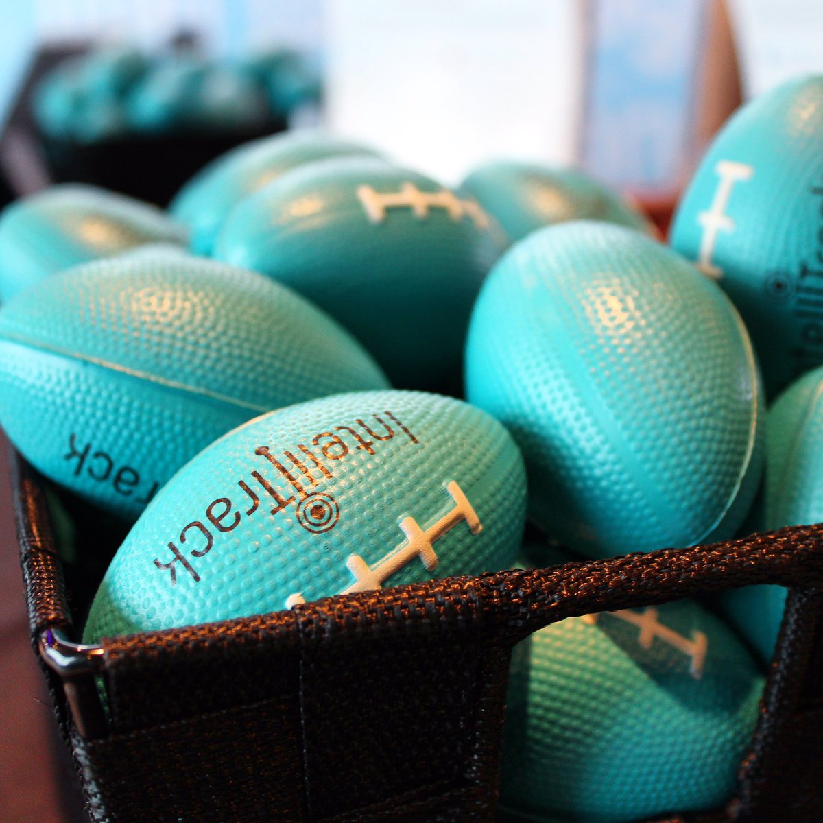 IntelliTrack's tweet photo. Before the day is over, don't forget to stop by the IntelliTrack table for a football! #supplychaingeek #barcodingef7 https://t.co/iVVInFDsuD