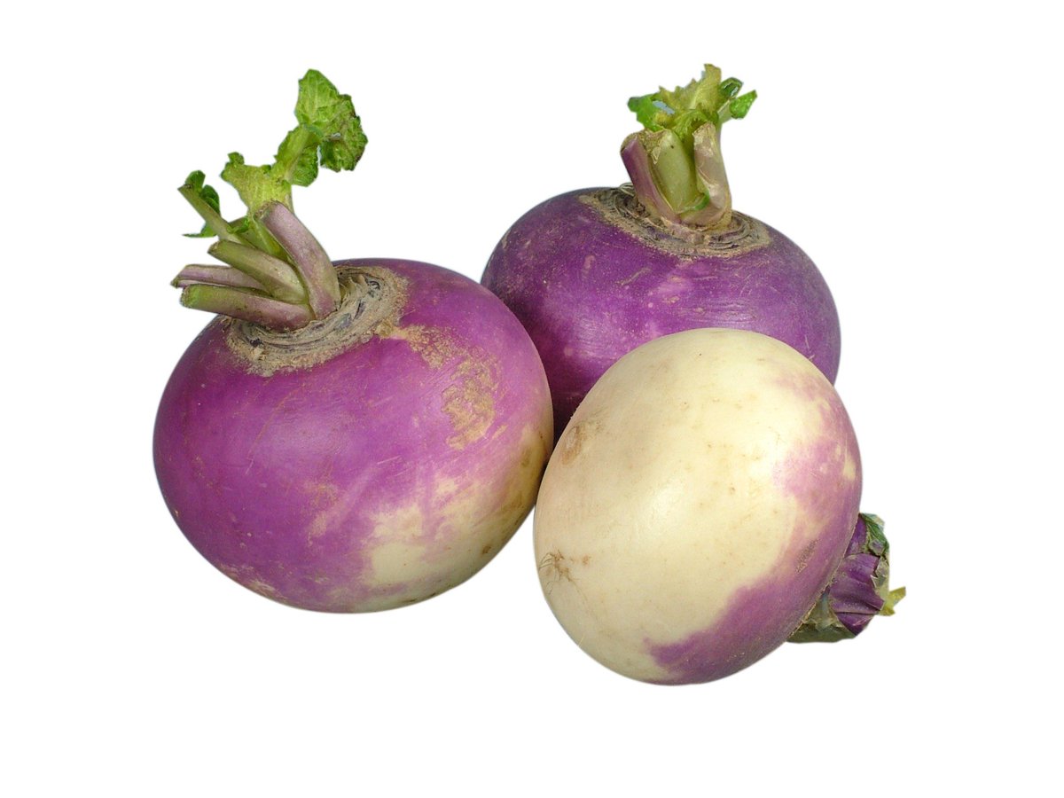 pitchblacksteed's tweet photo. We're talking turnips for the next hour on pitchblacksteed, pour yourself an incredibly strong ale and chip in...🍺🍺🍺
#TurnipThursday https://t.co/q4K4JWZpeP