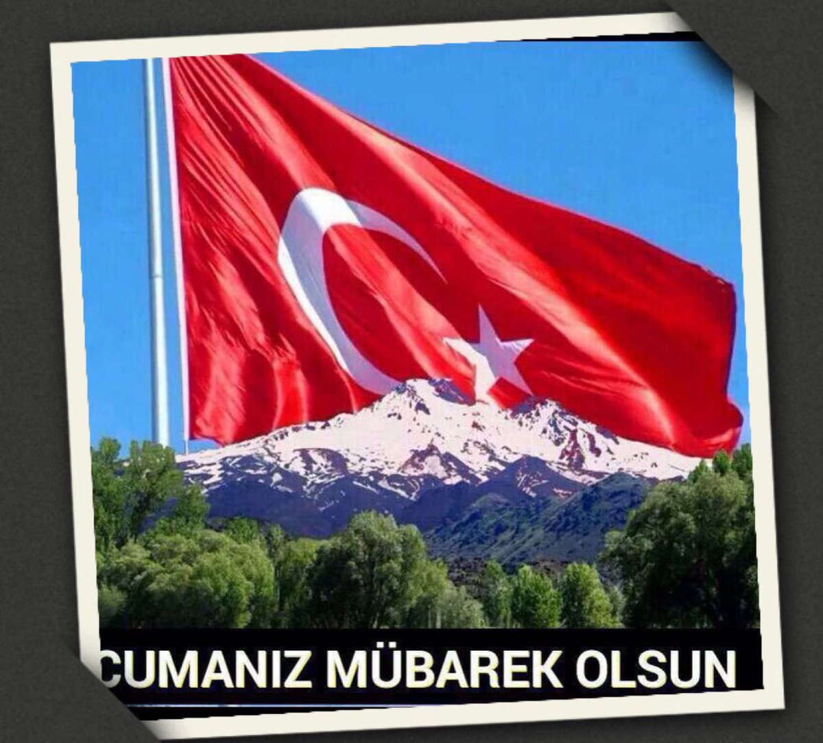 Hüseyin Güner Kermit (@gunerkermit) on Twitter photo 