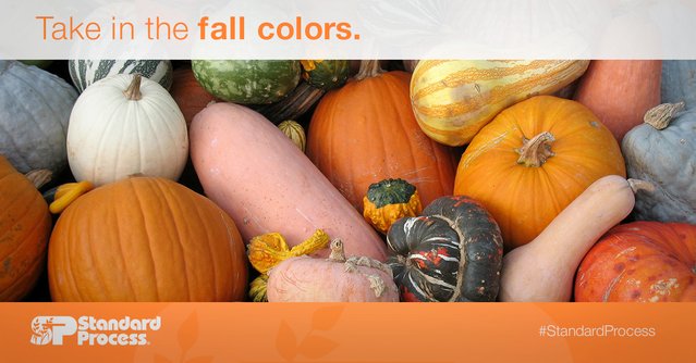 DoctorRoberds's tweet image. Take In The Fall Colors