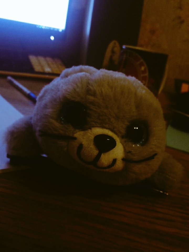 Pitczz's tweet photo. Единственный, кто сохраняет бодрость духа #яустала #позитив #тюлень #игрушка https://t.co/LIvtLLdkl6