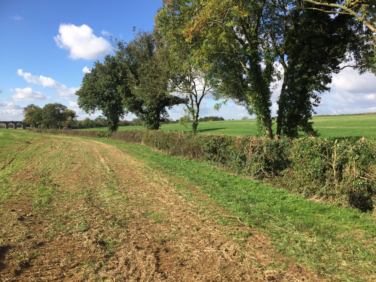 dg_hopper's tweet image. I love the instant transformation I get with the @SMT_GB Volvo and #treeshear in #Oxfordshire