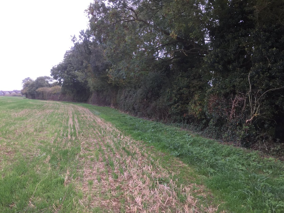 dg_hopper's tweet image. I love the instant transformation I get with the @SMT_GB Volvo and #treeshear in #Oxfordshire