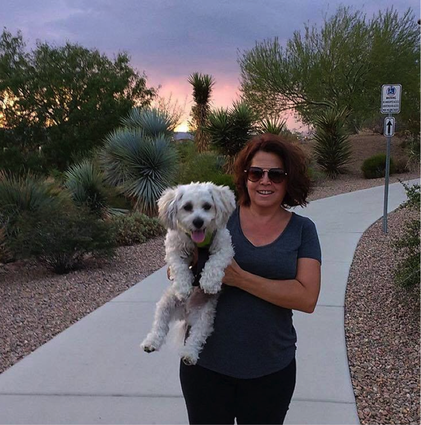 MountainsEdgeLV's tweet photo. Mountain’s Edge pups love a walk (or carry!) in #ExplorationPark. (Photo: lisacaterbone – Instagram) https://t.co/BA4kEjBz8D
