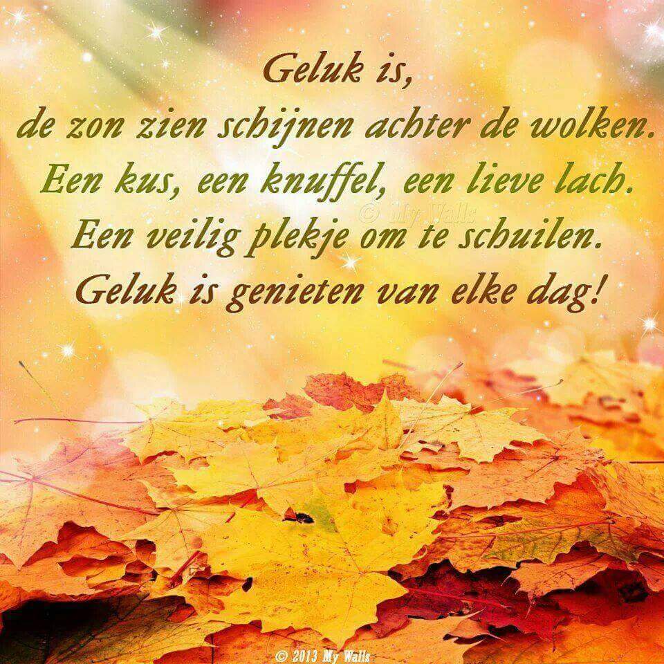 Geluk is...