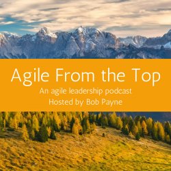 lithespeed's tweet photo. What is #businessagility? We sat down w/ Evan Leybourn on the #AgileFromtheTop podcast w/ @agiletoolkit to find out https://t.co/cM07X96eDU https://t.co/CORf4ENd7G