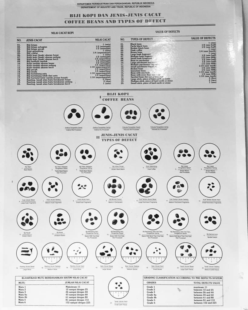 FransdeGrebber's tweet photo. Coffee beans and types of defect. #coffee #koffie #kopi #kaffee #coffeebean #coffeebeans #coffeedefects https://t.co/GTE8QIdfGc https://t.co/KfyNq5EL6i