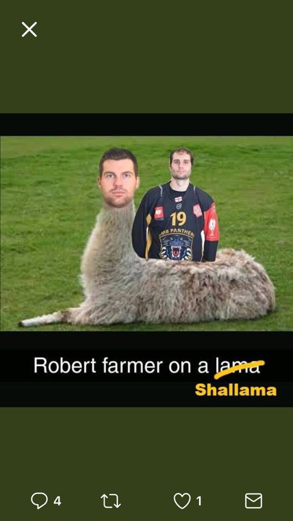 josh shalla tweet media