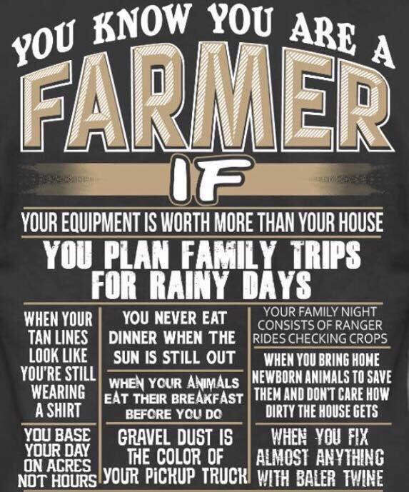 If you farmed today, thank a consumer! 

#NationalFarmerDay