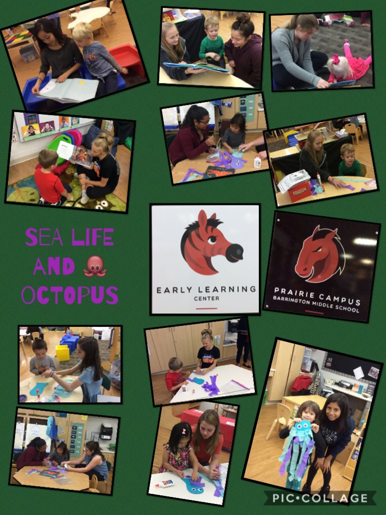 drddailysci's tweet photo. Another gray day at the ELC. 3 year olds and transitional kindergarten. With 8th gr https://t.co/IB74yDb1Wy https://t.co/b5vwWPlwiI