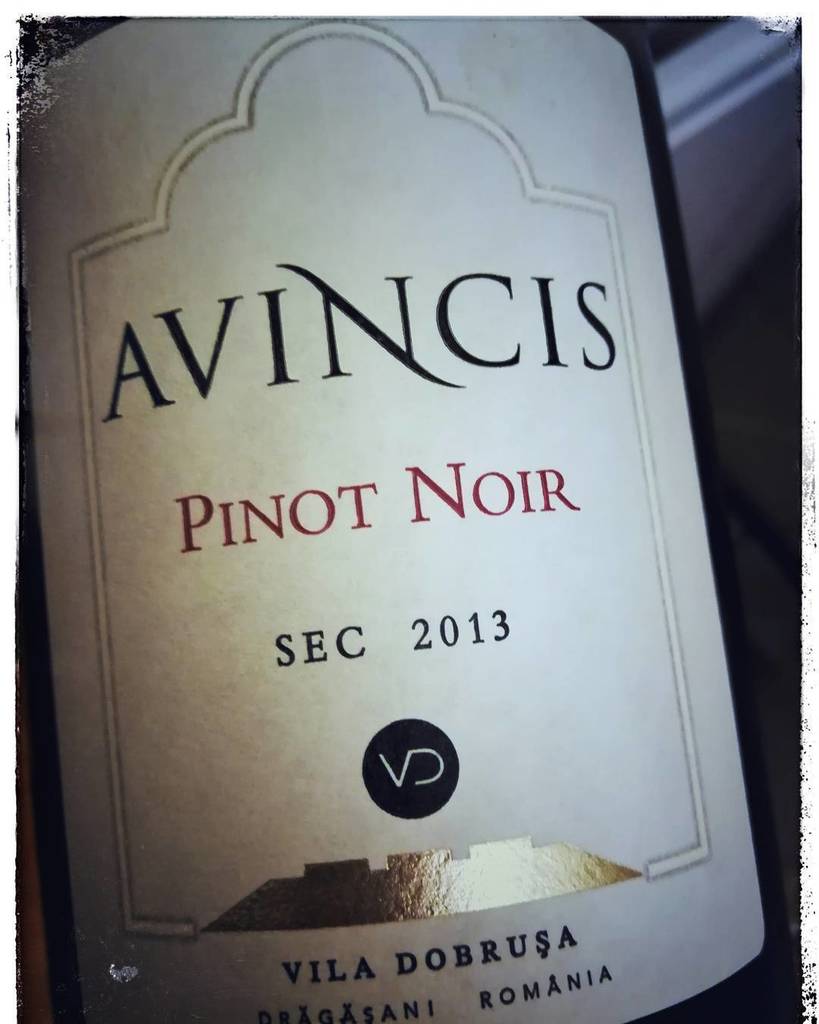 fotozara's tweet image. tasting #winephotographer #tasting #avincis #pinotnoir #2013 #viladobrusa #romanianwine #fotozara #redwine ift.tt/2i6wBHf