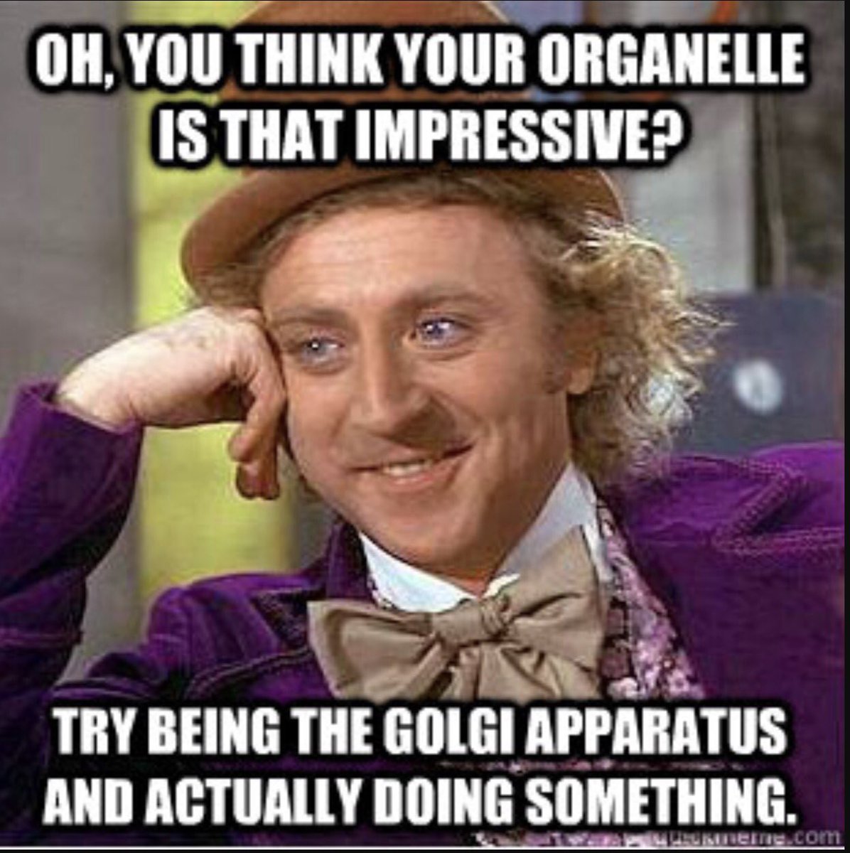 QUEENgolgi's tweet photo. #QUEENgolgi #organellewarsOLu @allshookupbybio https://t.co/pTBCwRh3sJ