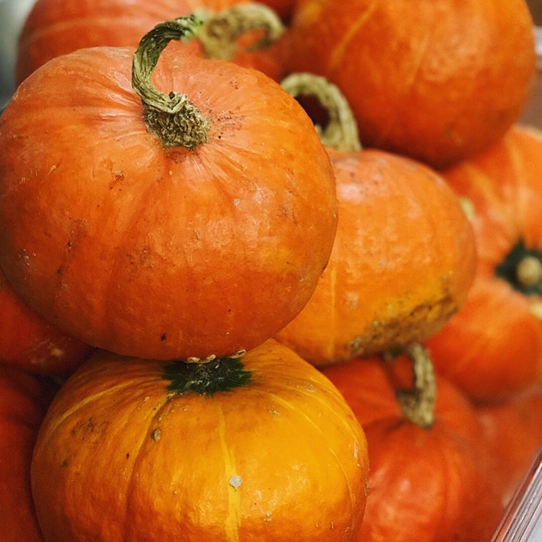 EatDenverCO's tweet photo. @LenaDenver's getting their ingredients ready for #HarvestWeek2017 Front Range Farm night on Mon incl kuri squash from #Colorado Wise Acres https://t.co/sAWhPRO2gt
