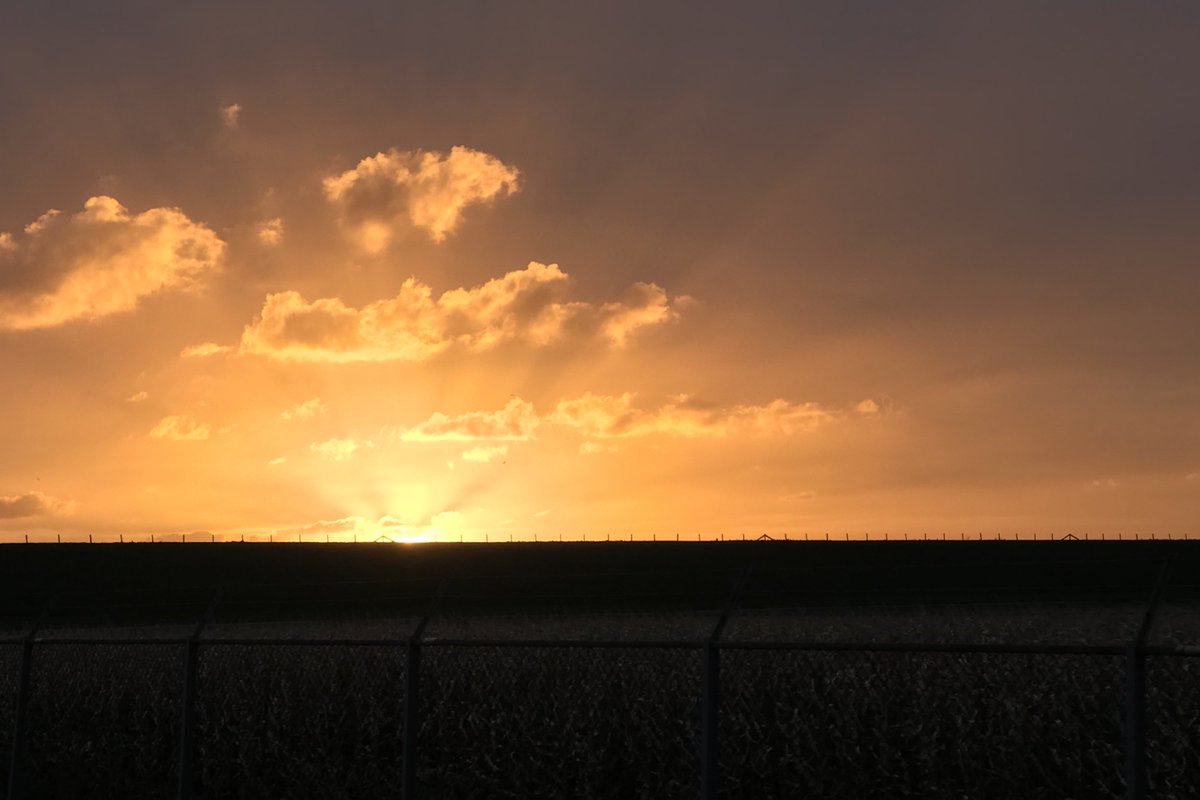 momenteel's tweet photo. O ja, uiteraard had ik ook zo’n #zonop foto van vanochtend. :-) https://t.co/yfL0bhE6h0