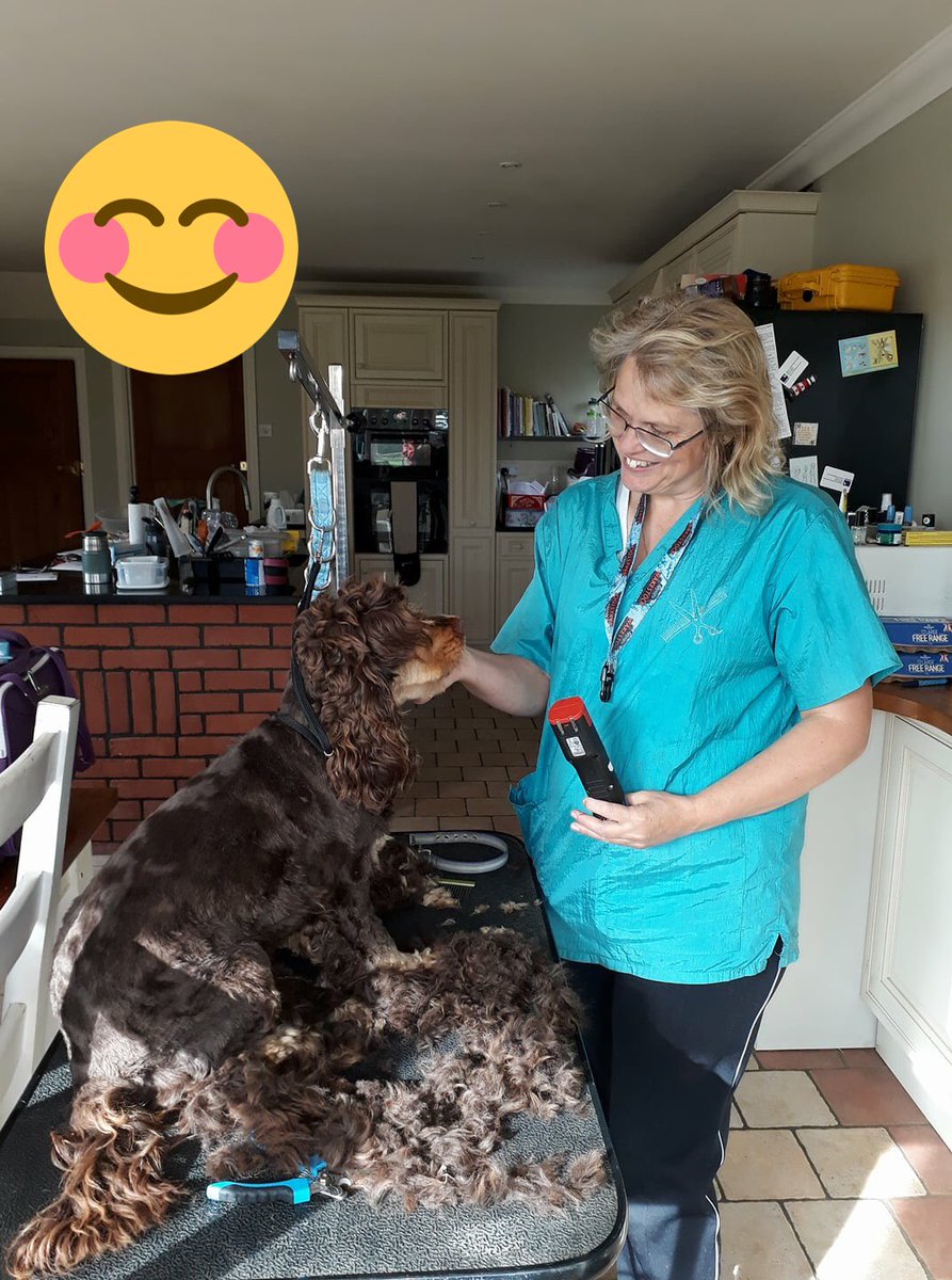 PawsitiveClips's tweet photo. Spaniel clip 😀🐾💕 https://t.co/6ehHwLiq1A