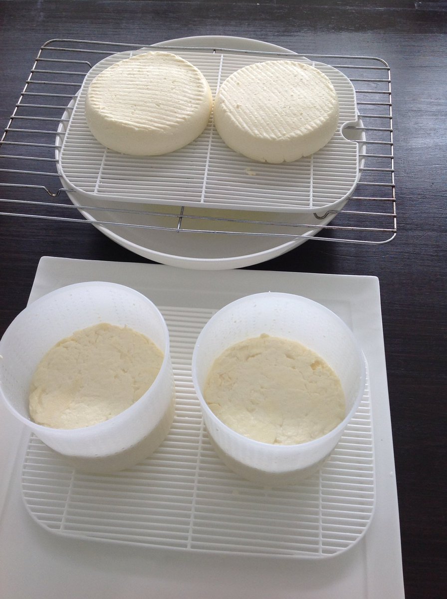 SimplydVineCook's tweet photo. Double Brie at the back, Stilton like Blue at the front...now the game of patience begins..
#Daylesford #Cooking #Cookingclass #Cheese #fun https://t.co/HtVDd5k7lr