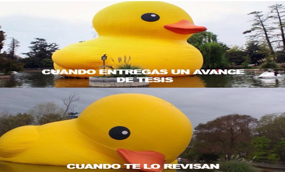 Niniophyta's tweet photo. Tesistas, compartamos nuestro sufrimiento 😅😭 #putatesis 😩📚 #todossomospato
#ElPatoDuróMenosQue https://t.co/QWywtZY4KJ