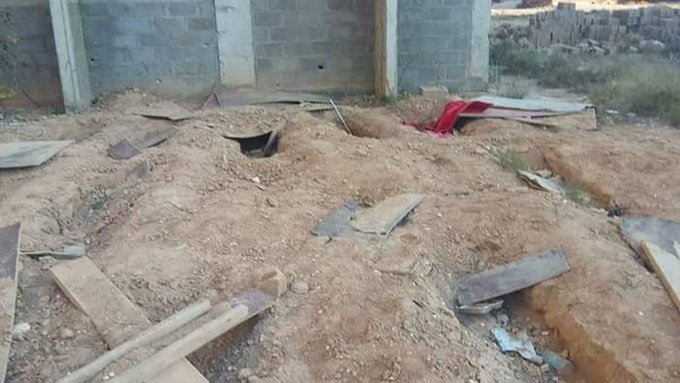 عرض الصورة على تويتر