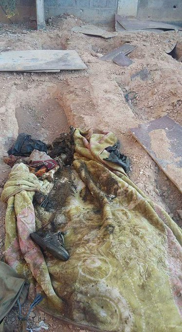 عرض الصورة على تويتر