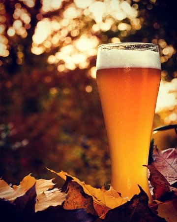 ZaccoTools's tweet photo. Cheers to an awesome autumn for all! Been a great summer &amp; garden harvest this year.8 https://t.co/xCxQ6pD7vk