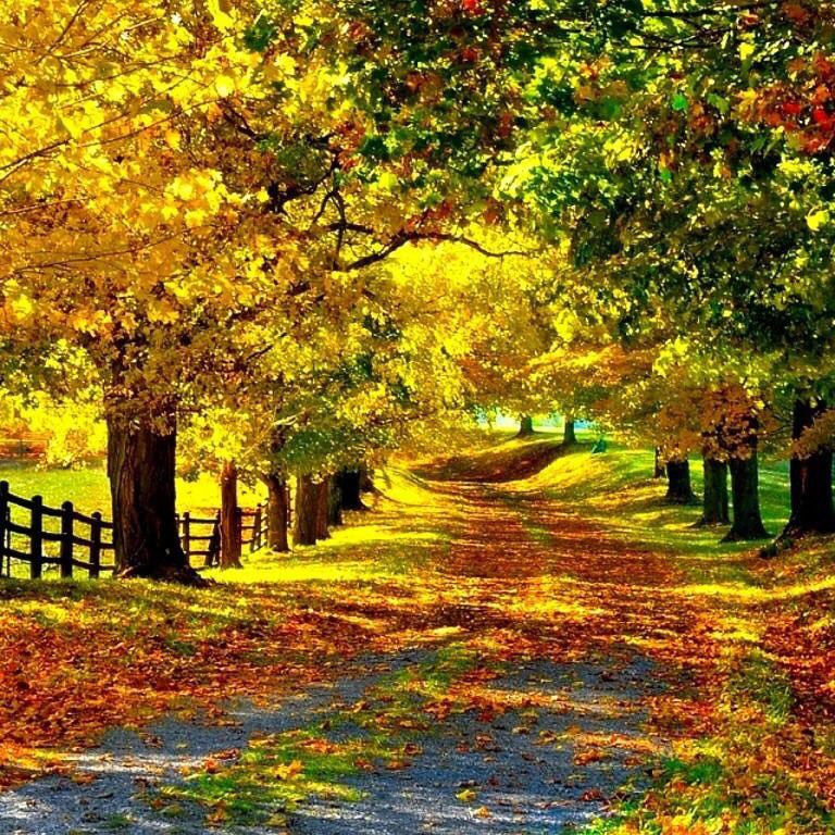 zerok_z's tweet image. 