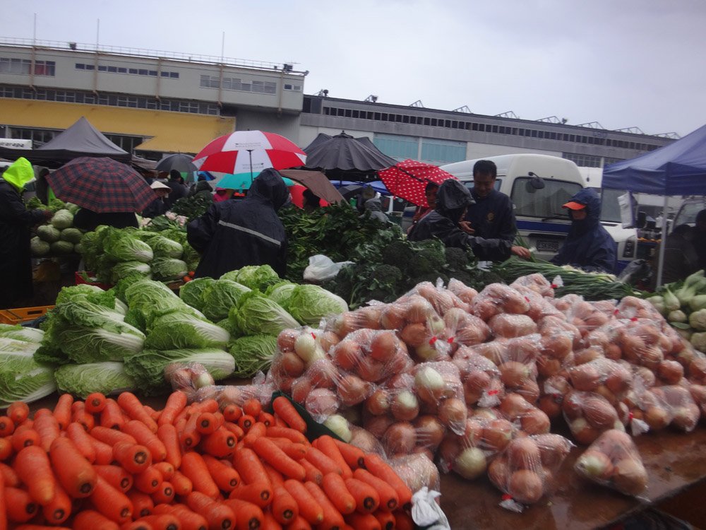 hotgirlscooking's tweet photo. Fruit &amp; vegetables are always in season at the #AvondaleSundaymarket
#eatvegetables #5plusaday
#hotgirlscooking #cookingforreal https://t.co/ar9QN41eAh